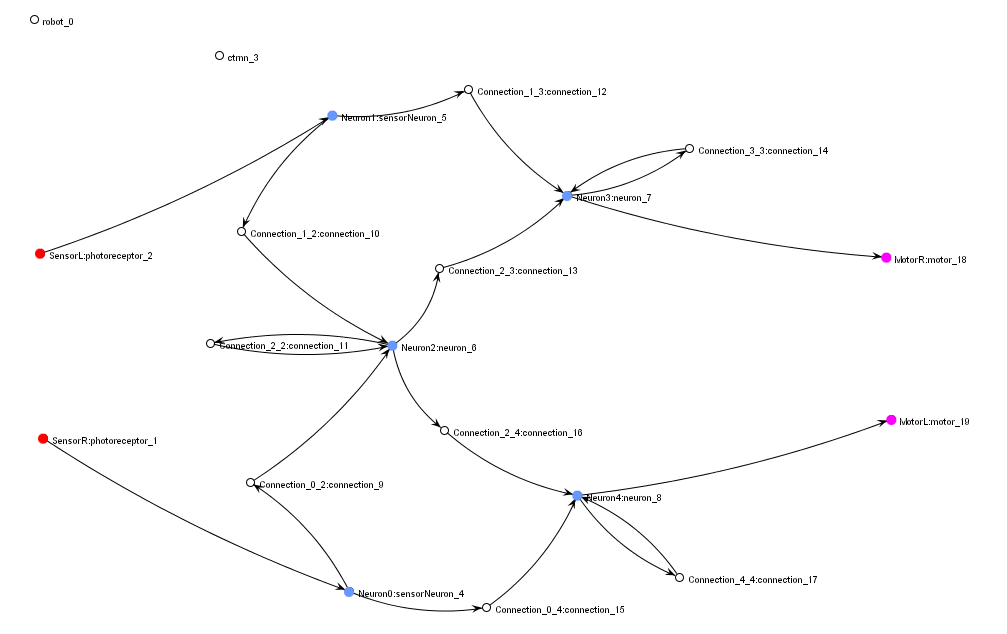 CTRNN network structure